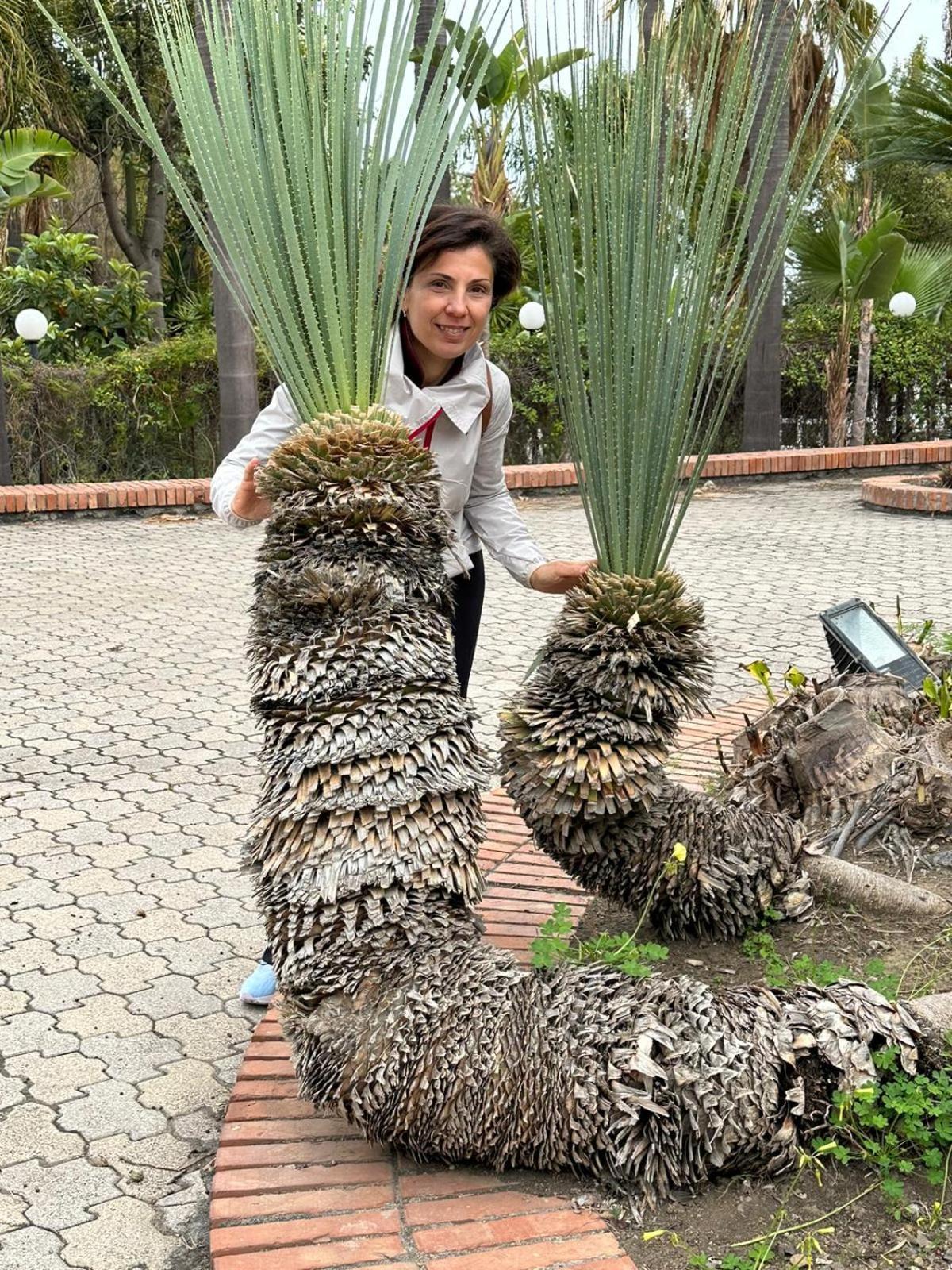 Adriana Casa Vacanze Mare Etna Sicilia Acireale Dış mekan fotoğraf